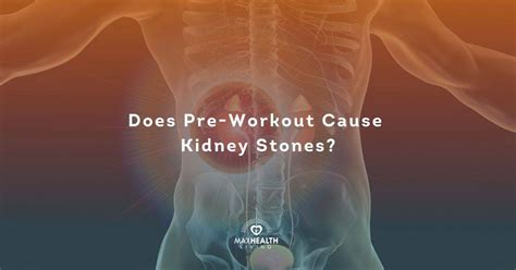 Can preworkout damage kidneys?