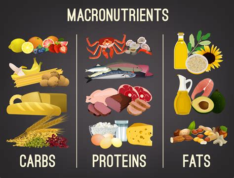 Can protein be stored as fat?