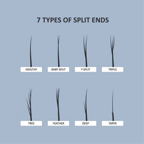 Can pubic hair get split ends?