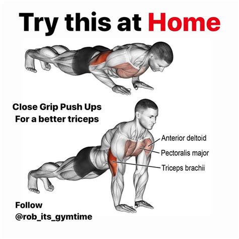 Can push-up build biceps?
