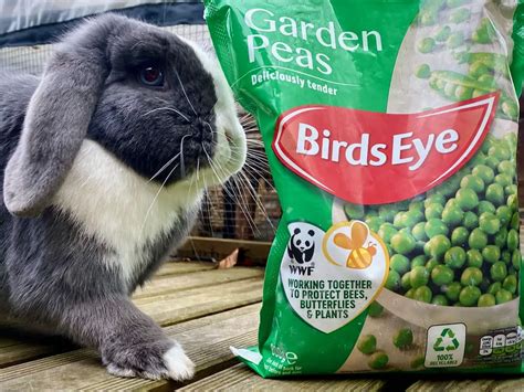 Can rabbits eat peas?