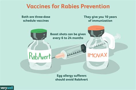 Can rabies be cured?