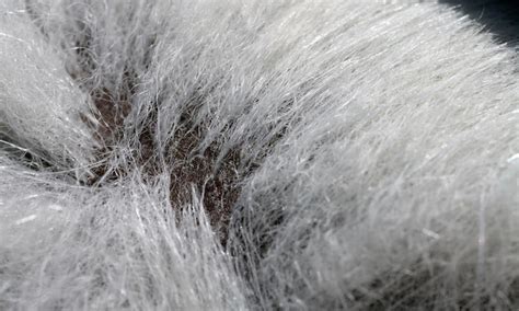 Can real fur be washed?