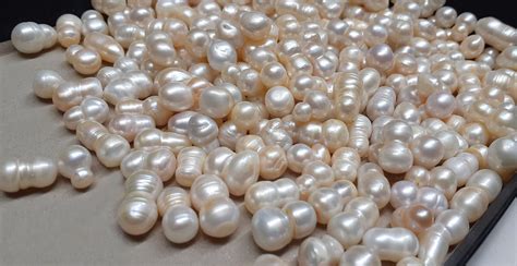 Can real pearls be cheap?
