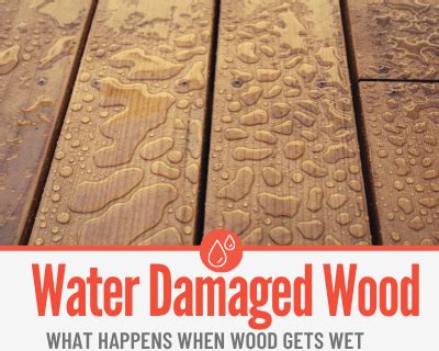 Can real wood get wet?