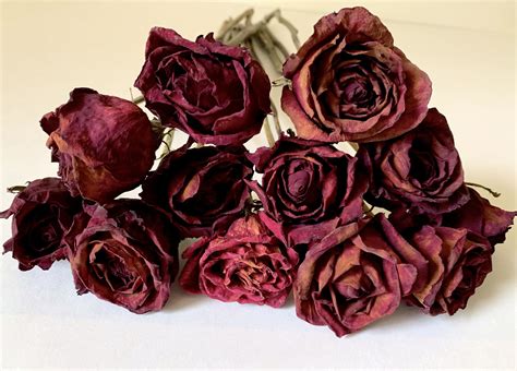 Can roses be air dried?