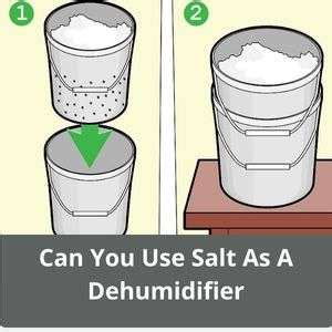 Can salt act as a dehumidifier?