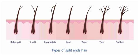 Can scissors cause more split ends?