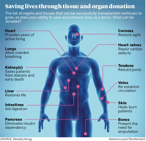 Can skin be donated after death?