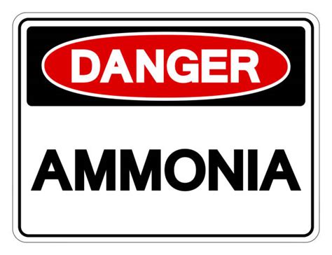 Can smelling too much ammonia make you sick?
