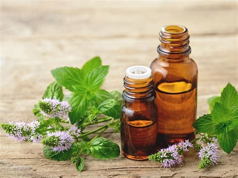 Can smelling too much peppermint oil be harmful?