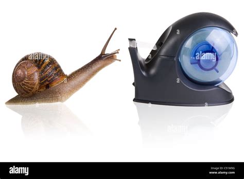 Can snails fall in love?
