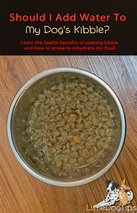 Can soaked kibble go bad?