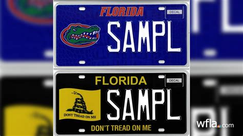 Can someone else return my license plates in Florida?