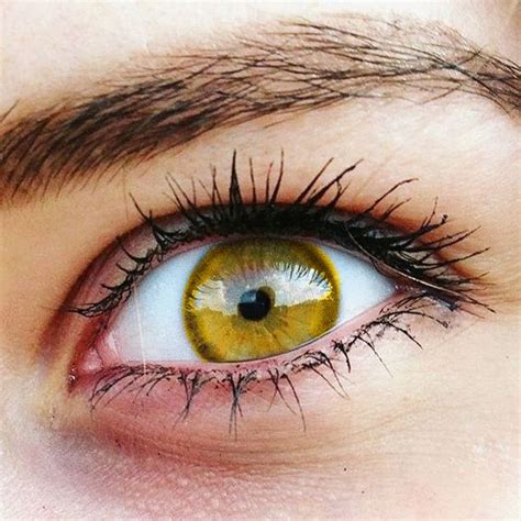 Can someone have naturally gold eyes?