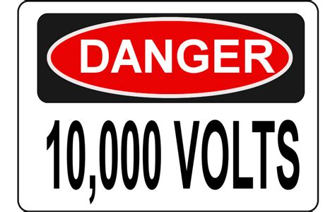 Can someone survive 10 000 volts?