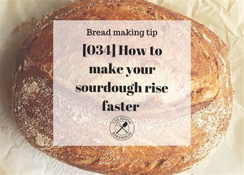 Can sourdough rise for 24 hours?