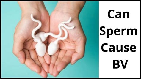 Can sperm cause BV?