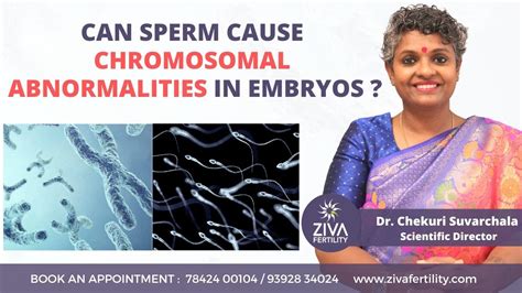 Can sperm cause abnormal embryos?