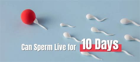 Can sperm live for 10 days?