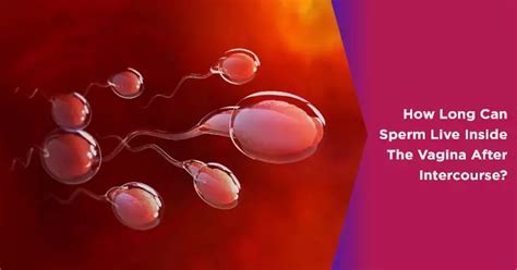 Can sperm live for 7 days?