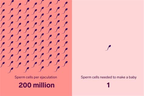 Can sperm survive a period?