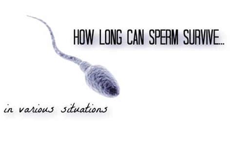 Can sperm survive thrush?
