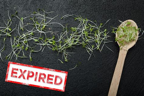 Can sprouts expire?