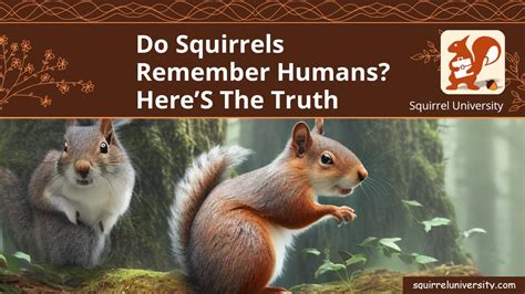 Can squirrels remember humans?
