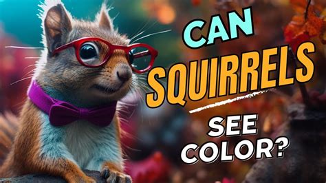 Can squirrels see in color?