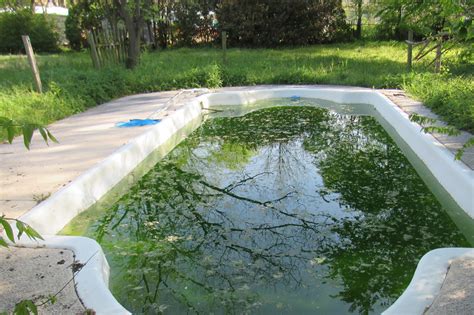 Can stagnant pool water make you sick?