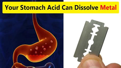 Can stomach acid break down ceramic?