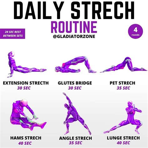Can stretching everyday build muscle?