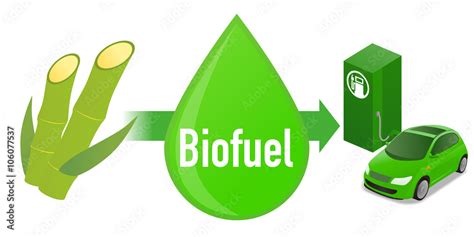 Can sugar be used as biofuel?