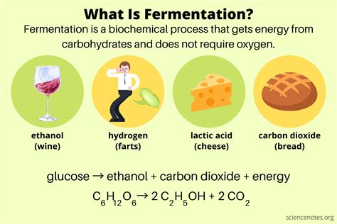 Can sugar cause fermentation?