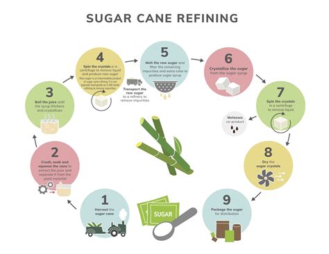 Can table sugar be fermented?