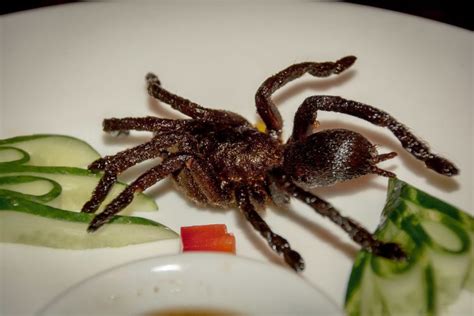 Can tarantulas eat non live food?
