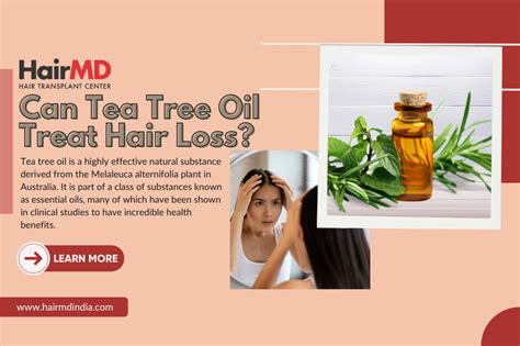 Can tea tree oil kill hair fungus?