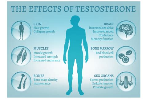 Can testosterone change your gender?