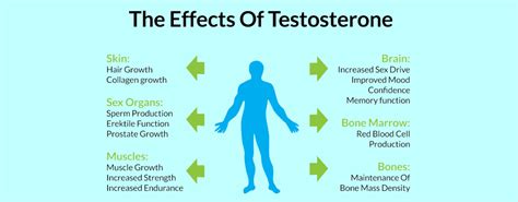 Can testosterone reverse ED?