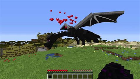 Can the Ender Dragon be your pet?