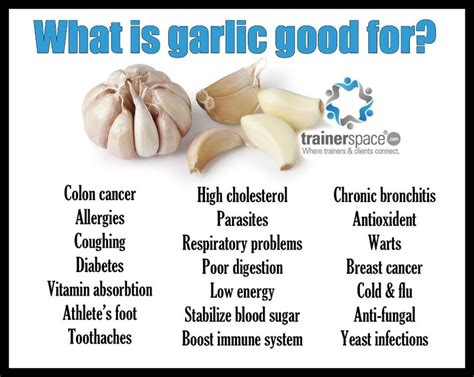 Can the body digest a whole garlic clove?