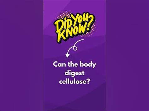 Can the body digest rubber?