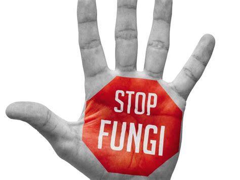 Can the body fight fungus?