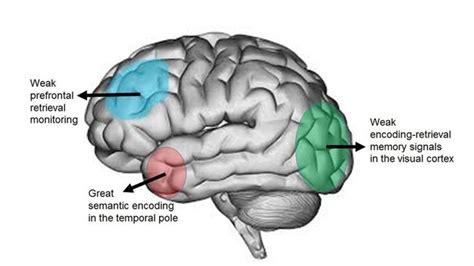 Can the human brain create false memories?