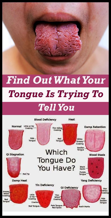 Can the tongue repair itself?