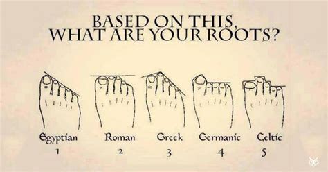 Can toes tell your ancestry?