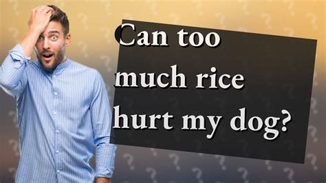 Can too much rice hurt a dog?