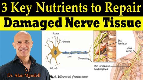 Can too much zinc cause nerve damage?