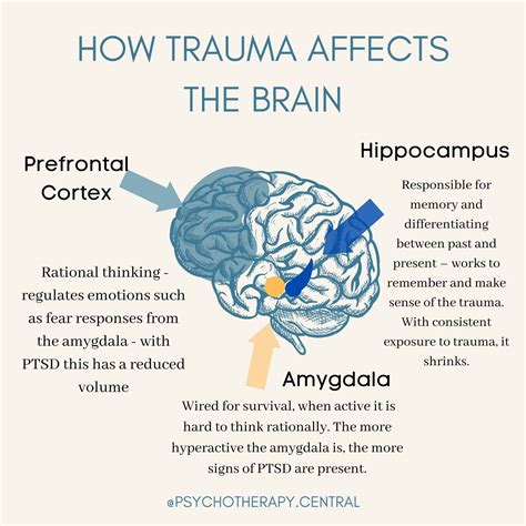 Can trauma ruin your brain?